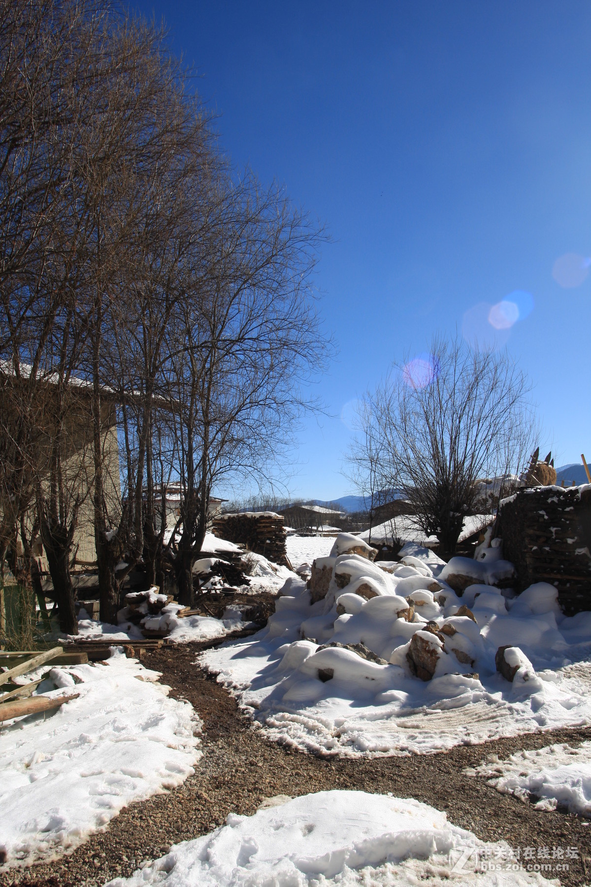 刚学摄影，借用同事和公司的相机，请老师们批评指正。准备入尼康D750，老婆划款就下手