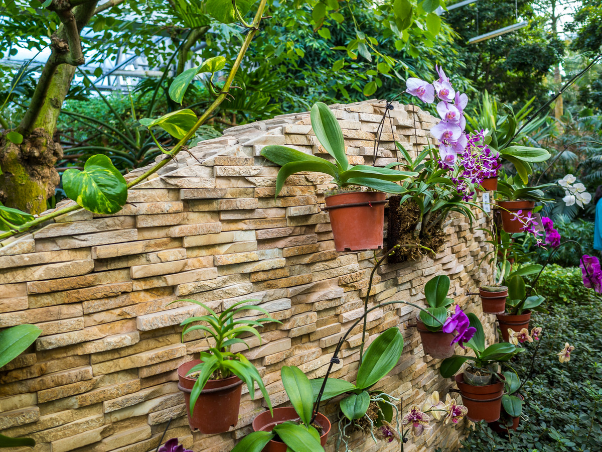 GR越用越爱------花卉大观园