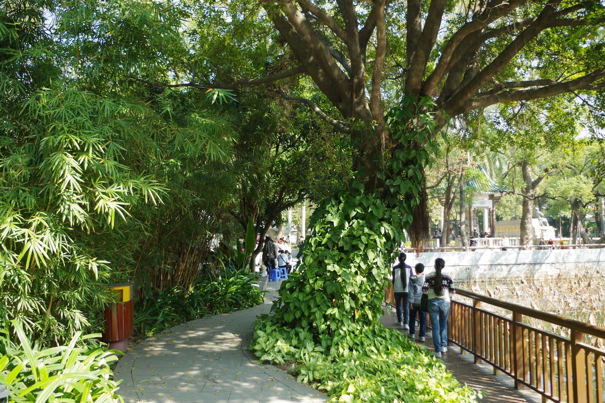 元旦游--虎门林则徐纪念馆