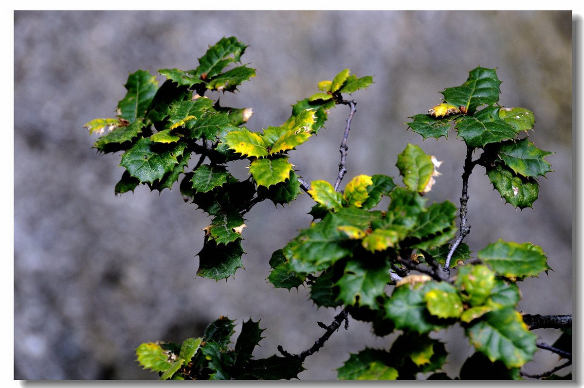 秋日的宝鸡鸡峰山（上，18P），敬请指导！