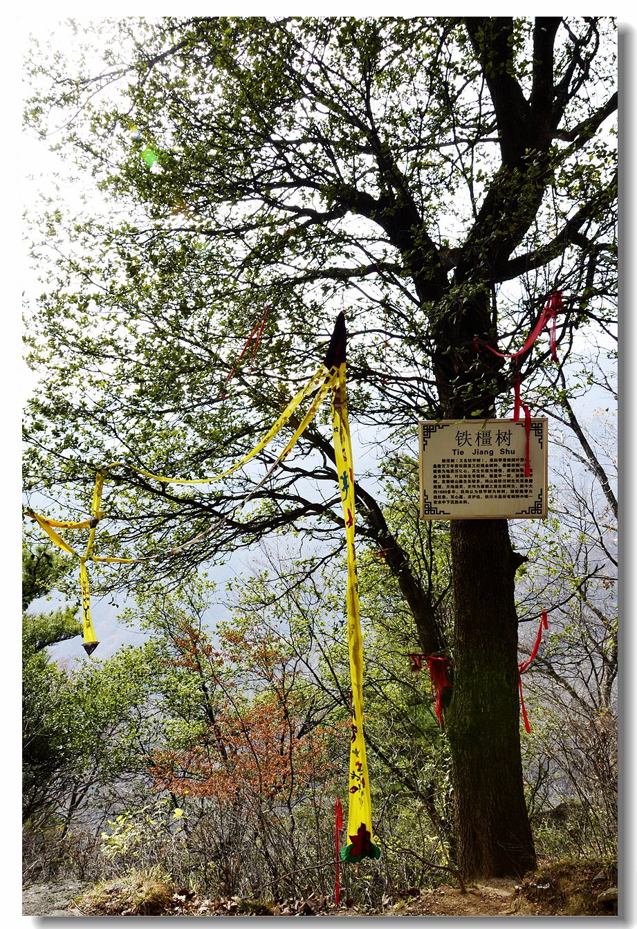 秋日的宝鸡鸡峰山（上，18P），敬请指导！