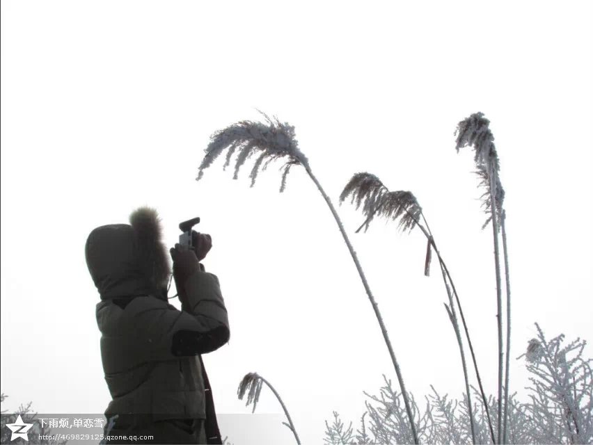 再见2014，你好2015！