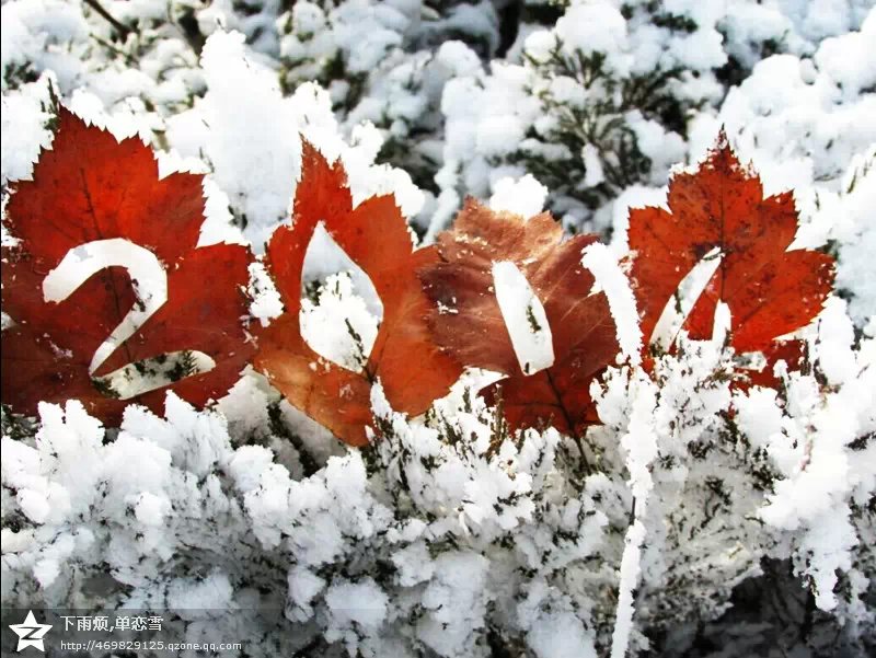 再见2014，你好2015！