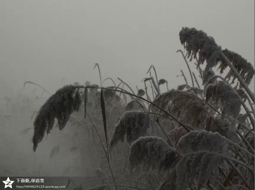 再见2014，你好2015！