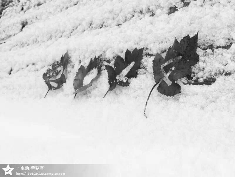 再见2014，你好2015！