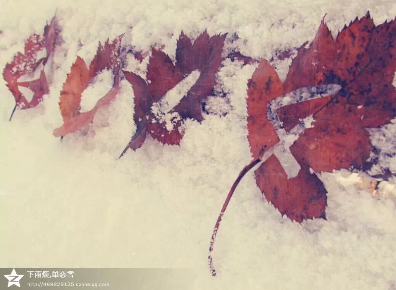 再见2014，你好2015！