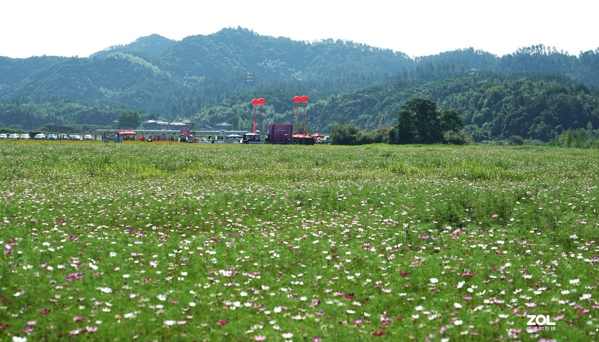 花果之乡文化旅游节盛况