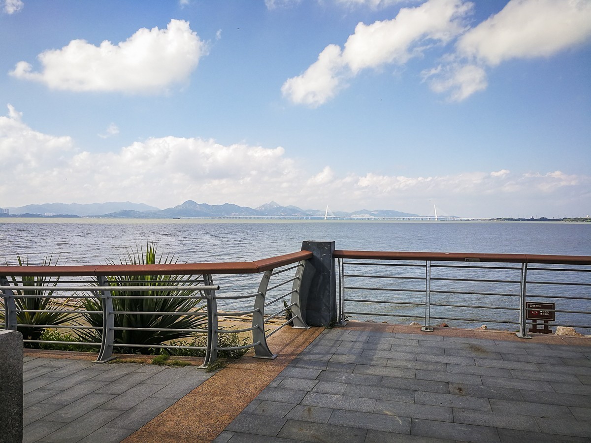 深圳湾红树林公园 ~ 掠影