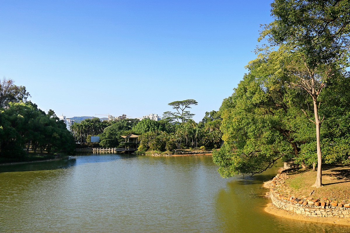华南植物园冬景