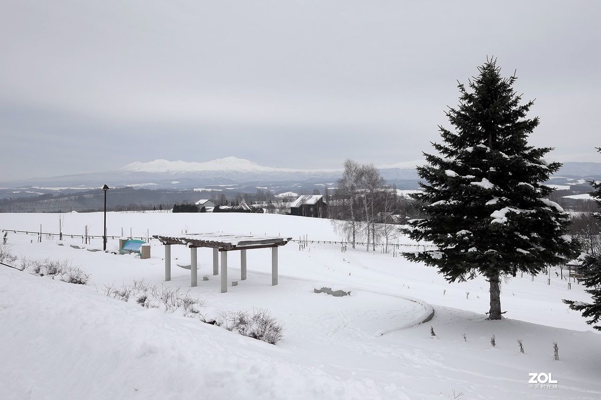 北海道·美瑛町·北西之丘（下）