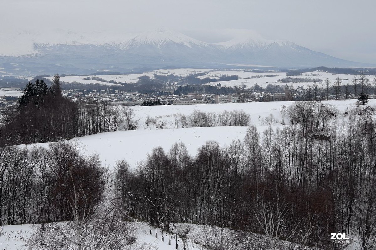 北海道·美瑛町·北西之丘（下）