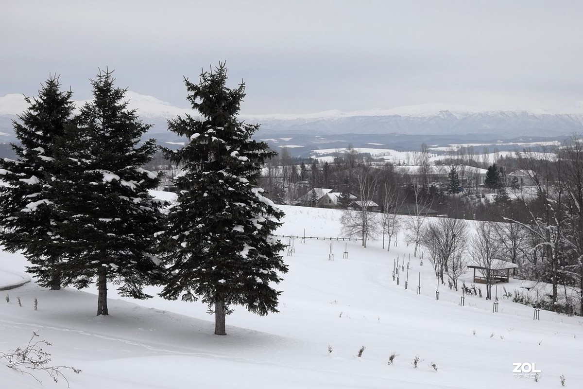 北海道·美瑛町·北西之丘（下）