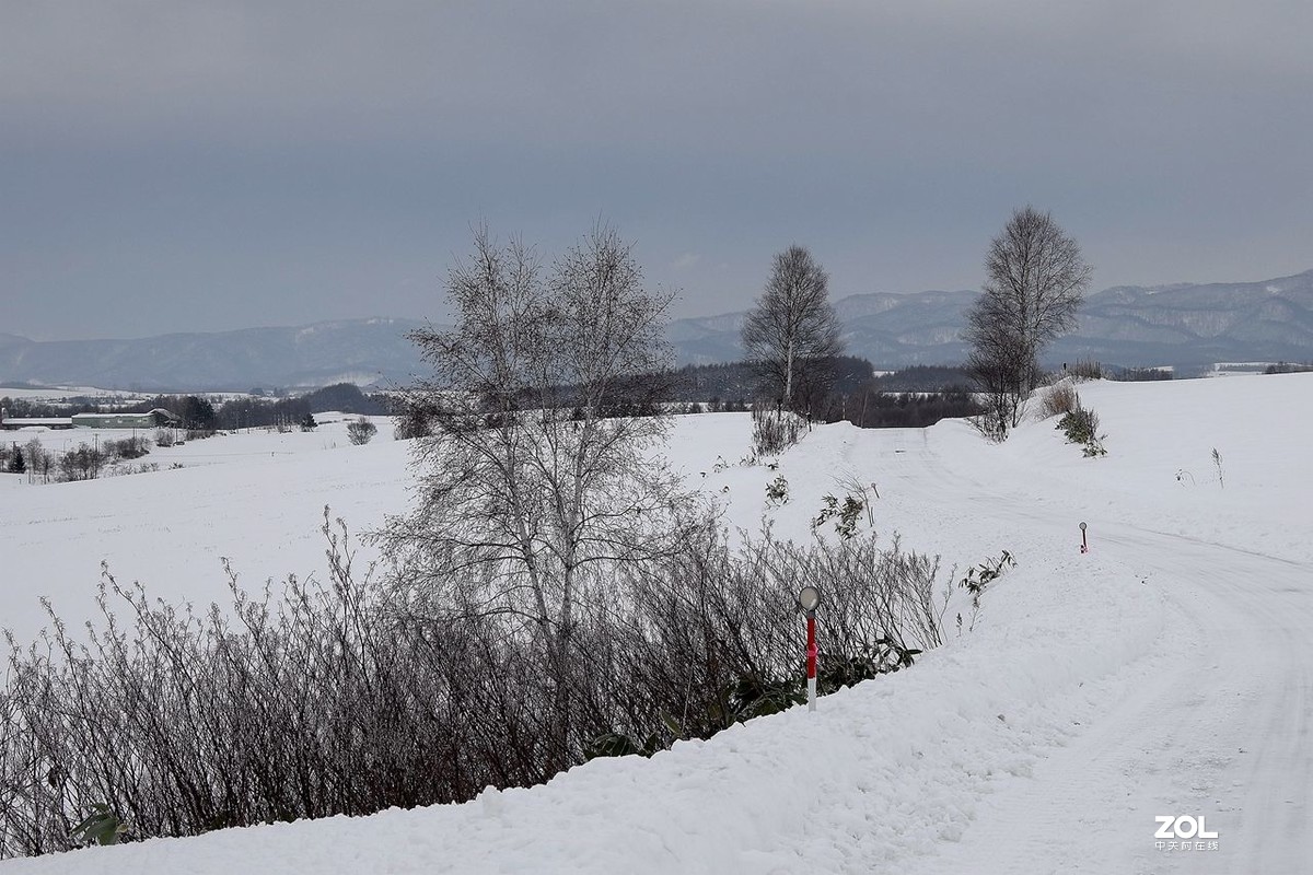 北海道·美瑛町·北西之丘（下）