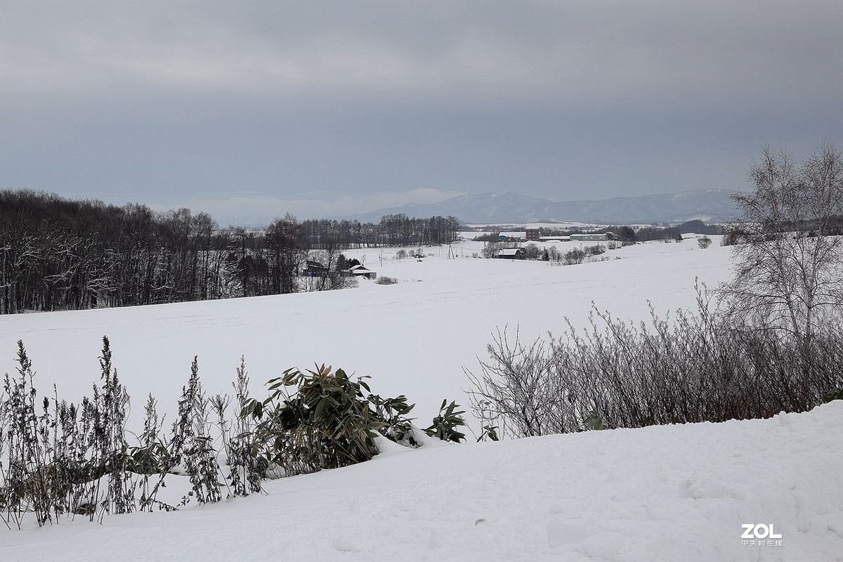 北海道·美瑛町·北西之丘（下）