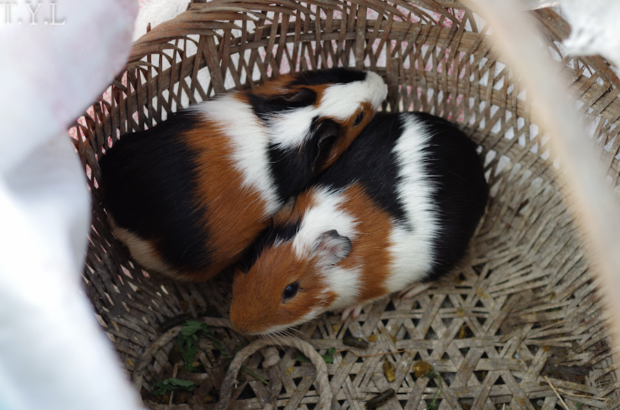 闽南乡镇墟日街拍