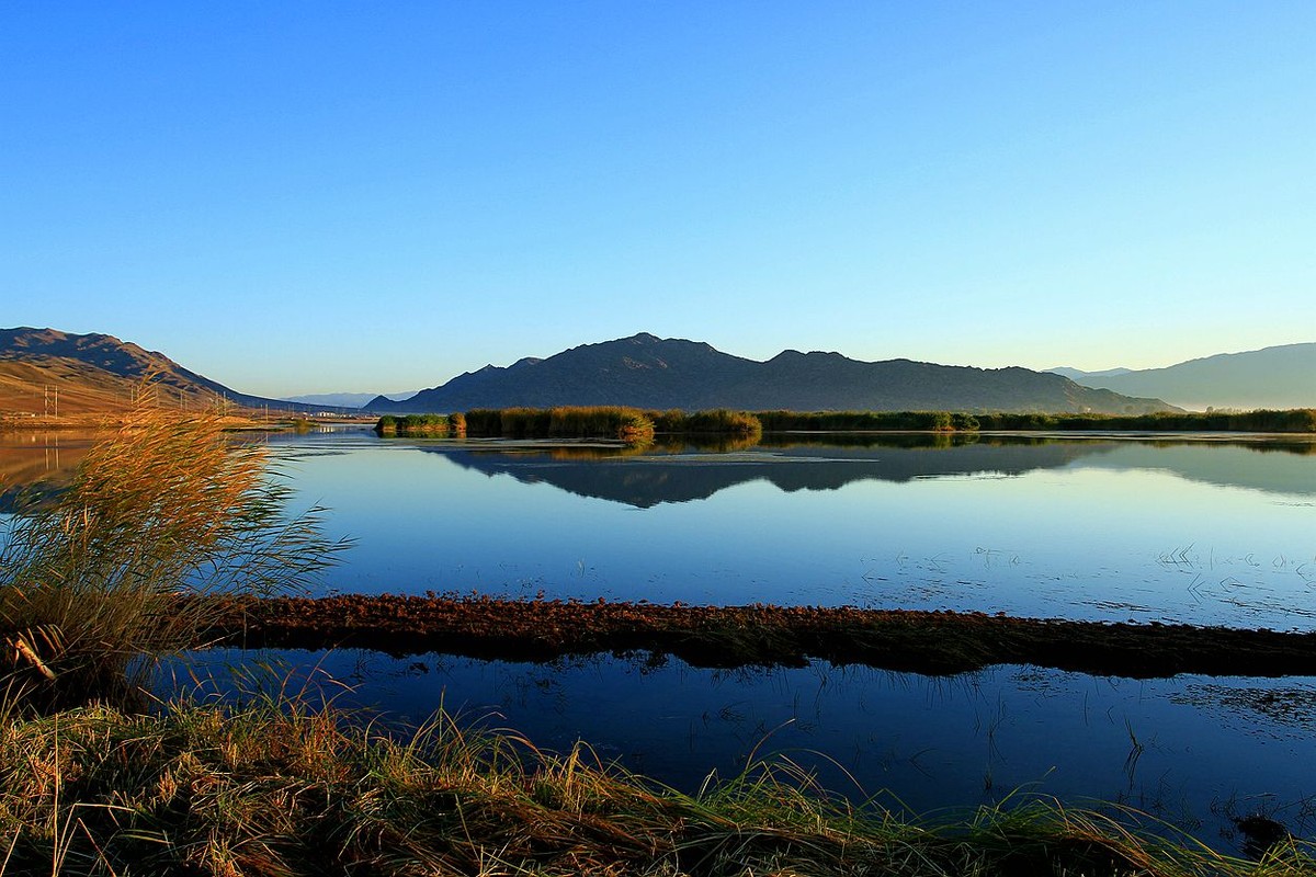 可可苏里野鸭湖