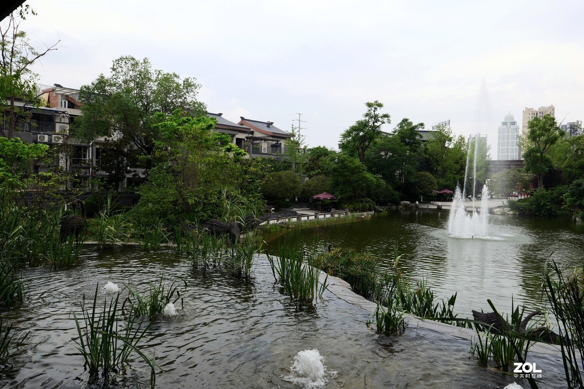 龙溪谷-趁检查绿化养护工作时候拍几张