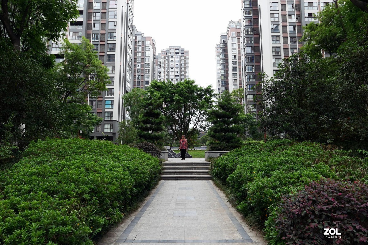 龙溪谷-趁检查绿化养护工作时候拍几张