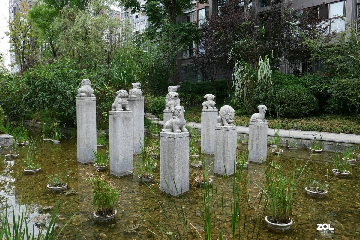 龙溪谷-趁检查绿化养护工作时候拍几张