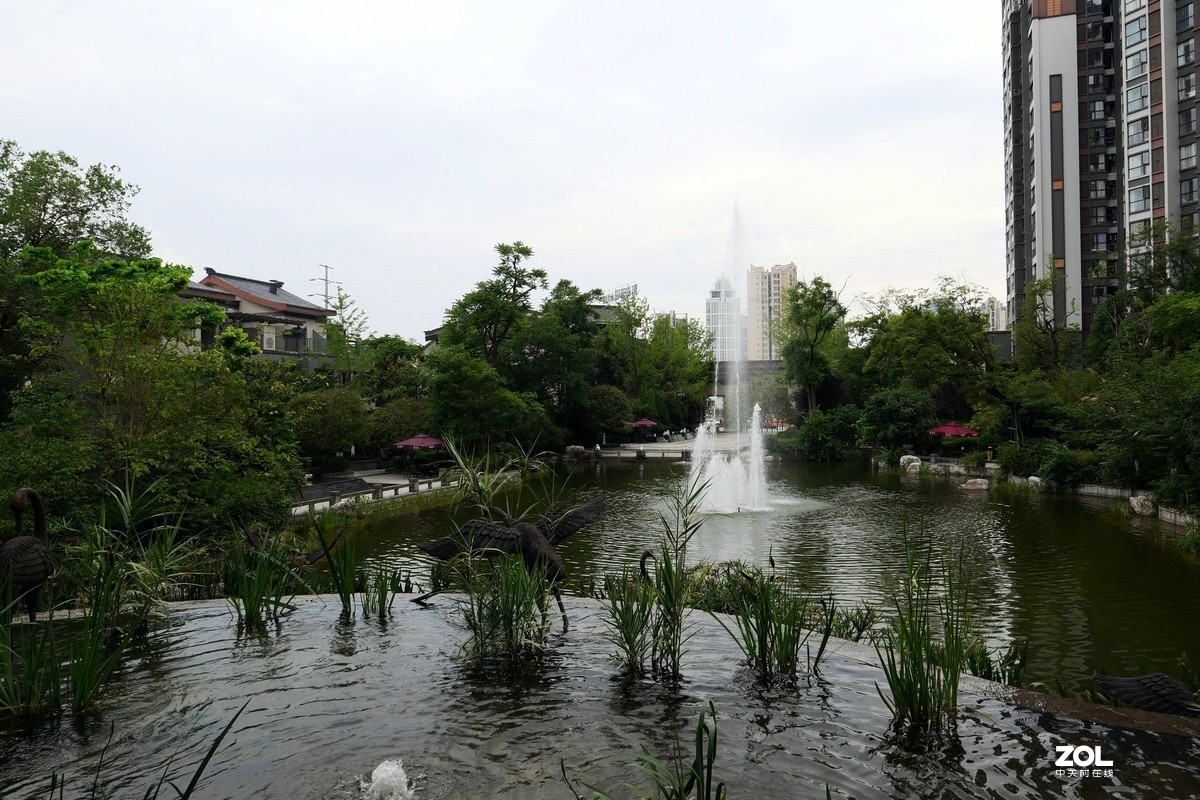 龙溪谷-趁检查绿化养护工作时候拍几张