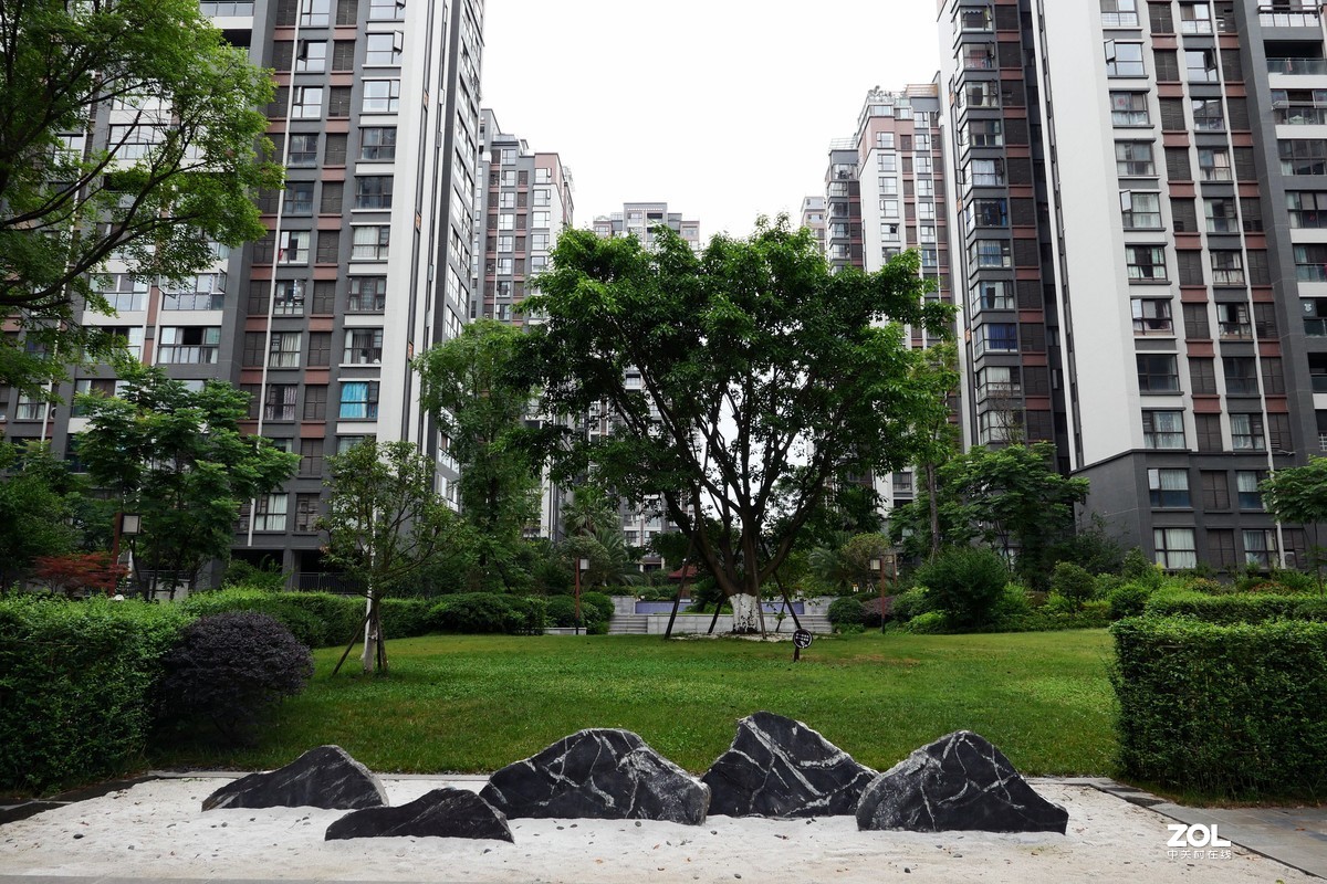龙溪谷-趁检查绿化养护工作时候拍几张