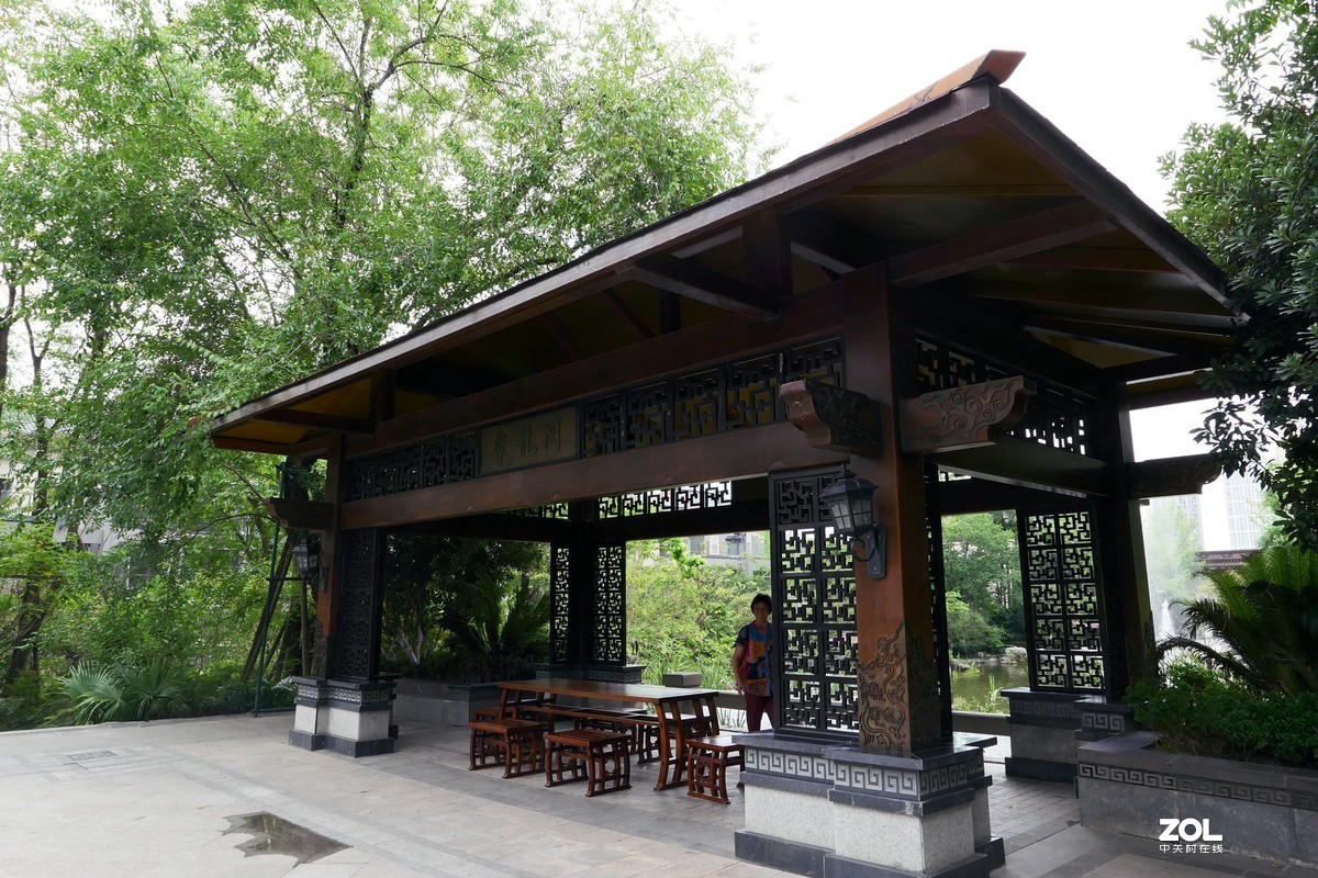 龙溪谷-趁检查绿化养护工作时候拍几张