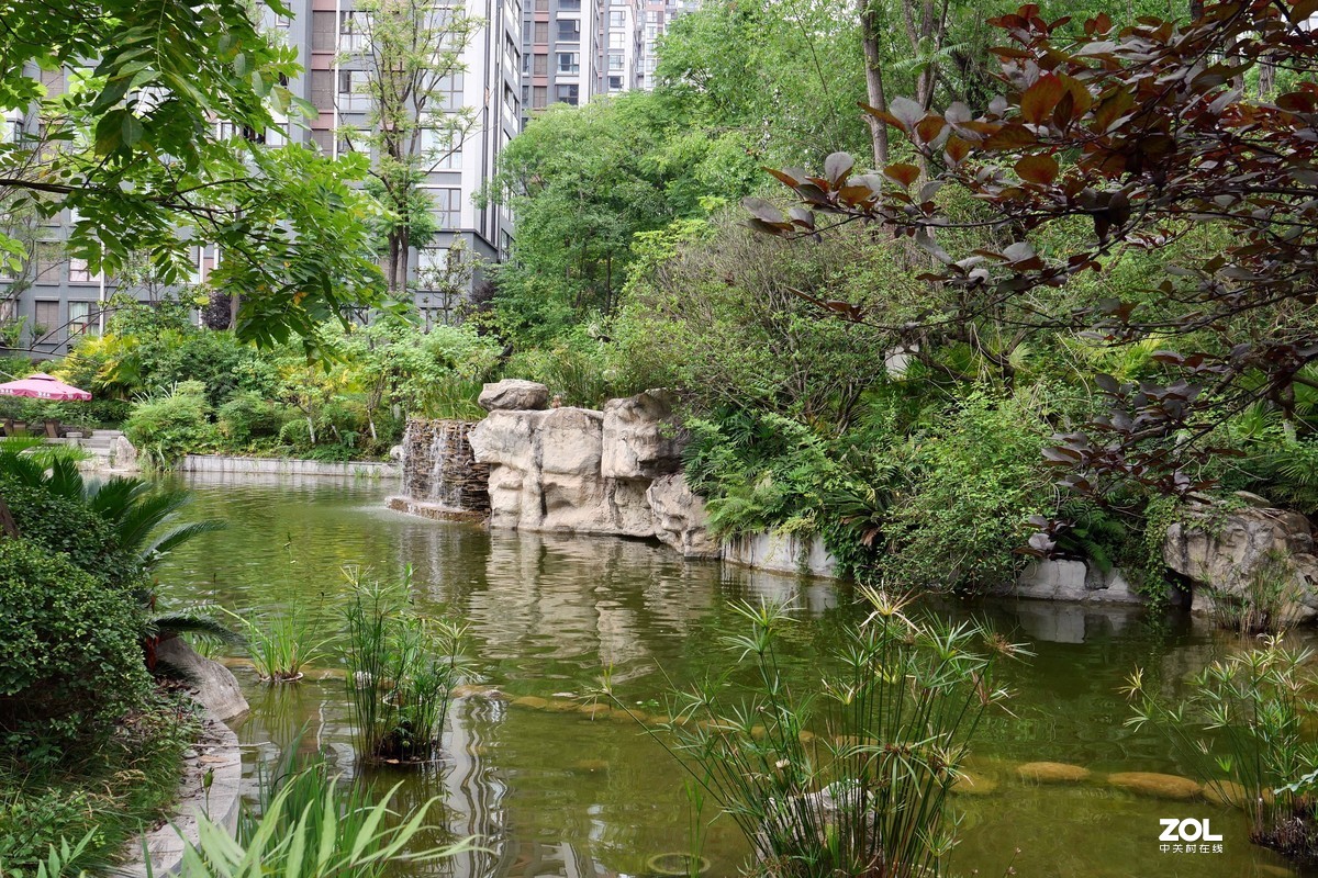 龙溪谷-趁检查绿化养护工作时候拍几张