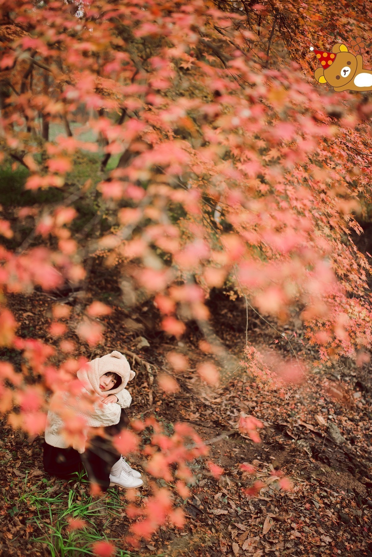 「熊出没」红叶枫了