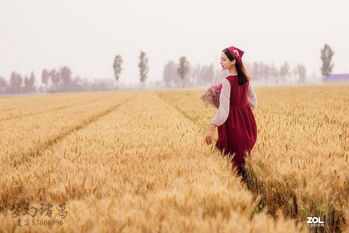 【梦幻美拍】夏日轻风-守望麦田