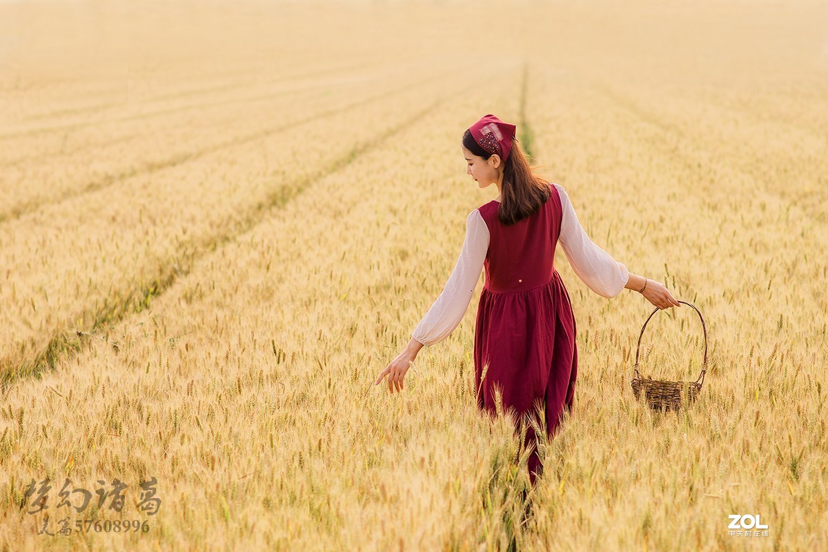 【梦幻美拍】夏日轻风-守望麦田