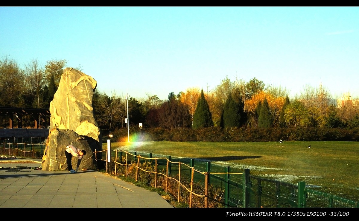 奥体森林公园初冬景色