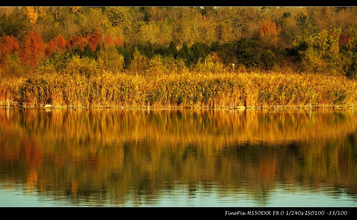 奥体森林公园初冬景色