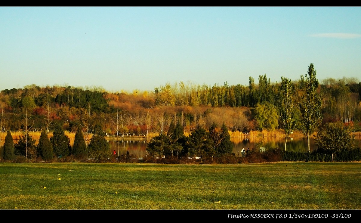 奥体森林公园初冬景色
