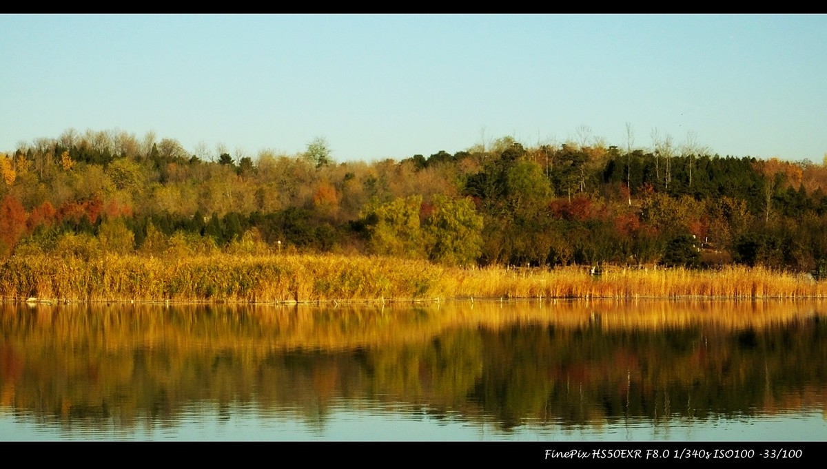 奥体森林公园初冬景色