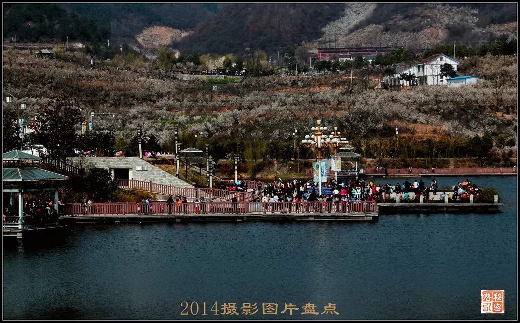 摄影—2014年摄影图片盘点