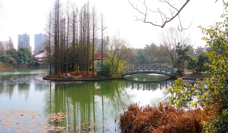 漫步植物园