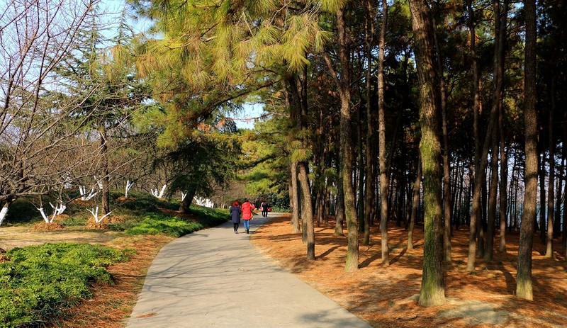 漫步植物园