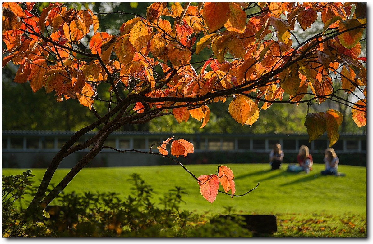 英伦掠影（十三）约克城