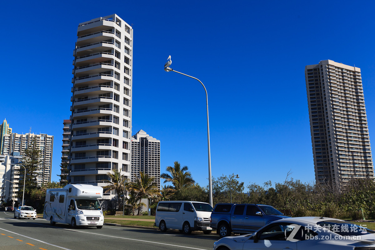 澳大利亚布里斯班掠影【10】