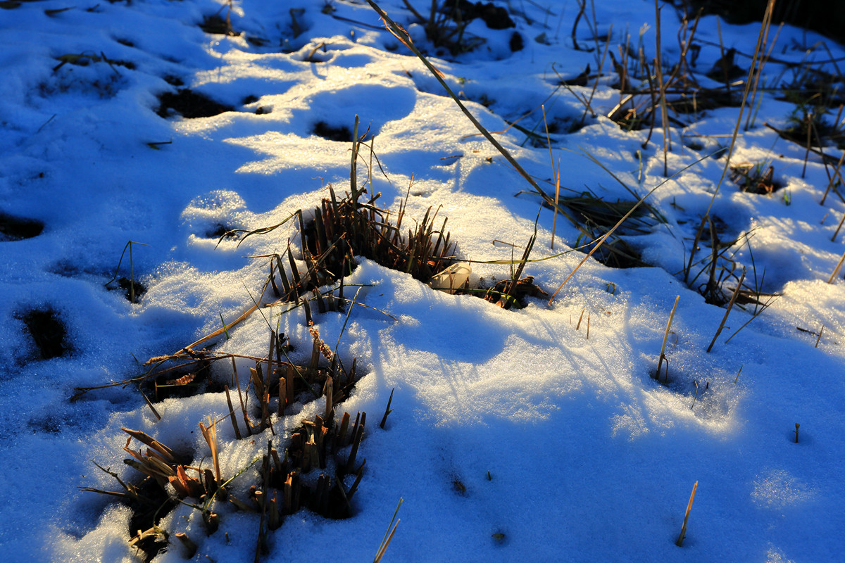 江南滑雪，时机未到