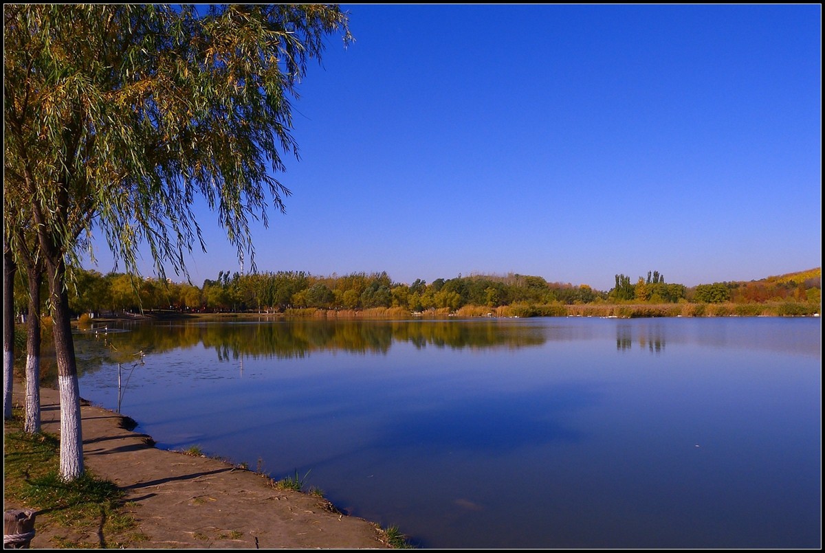 【奥森公园秋色】