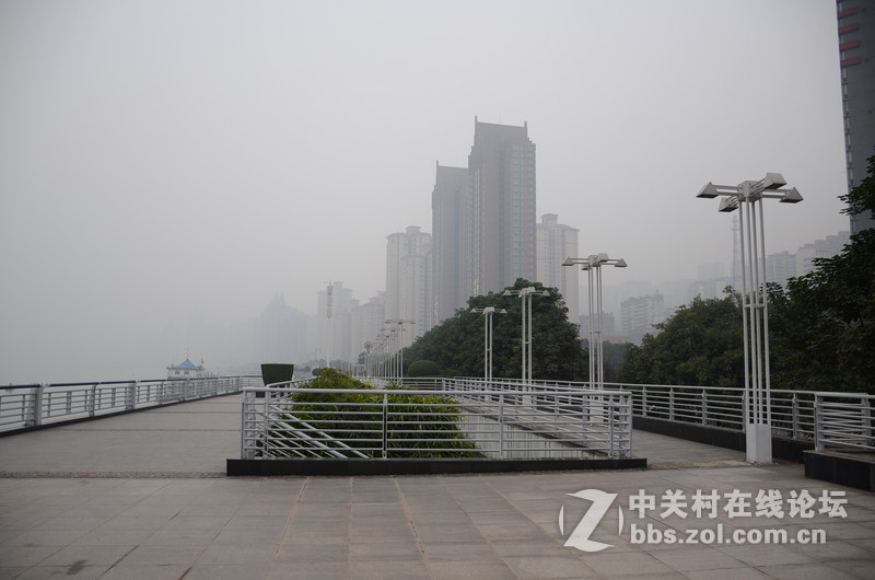 雾中滨江路新年采景