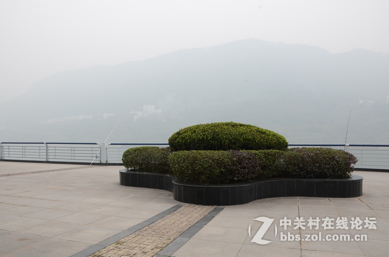 雾中滨江路新年采景