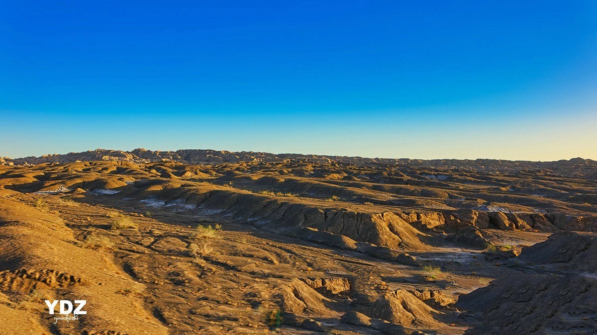 库尔勒的荒原 (3)