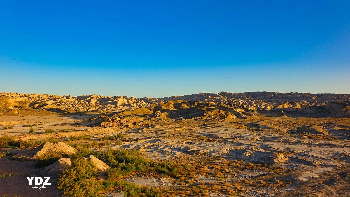 库尔勒的荒原 (3)