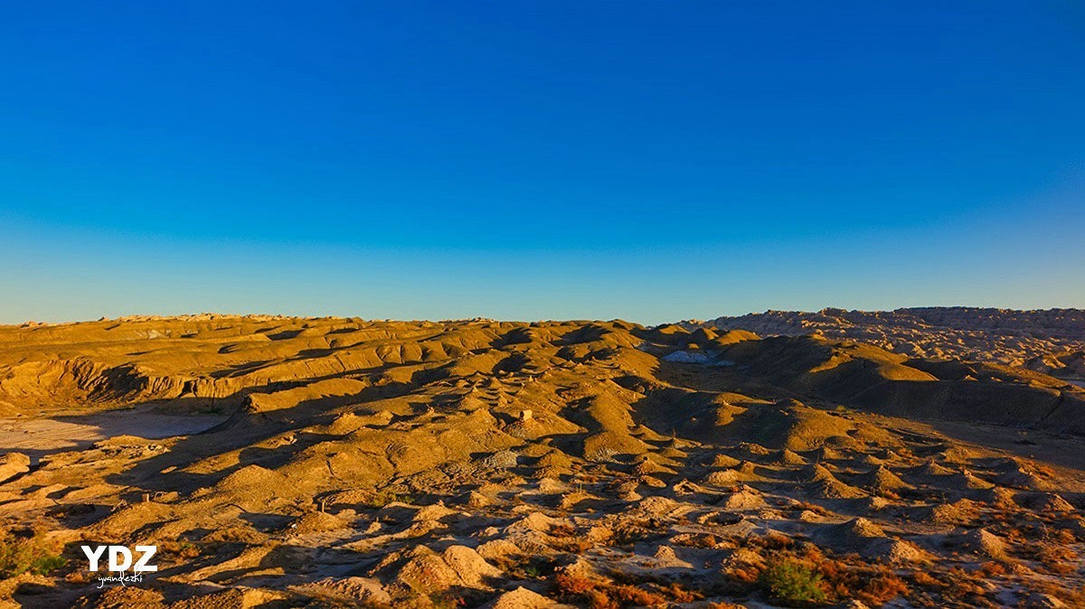 库尔勒的荒原 (3)