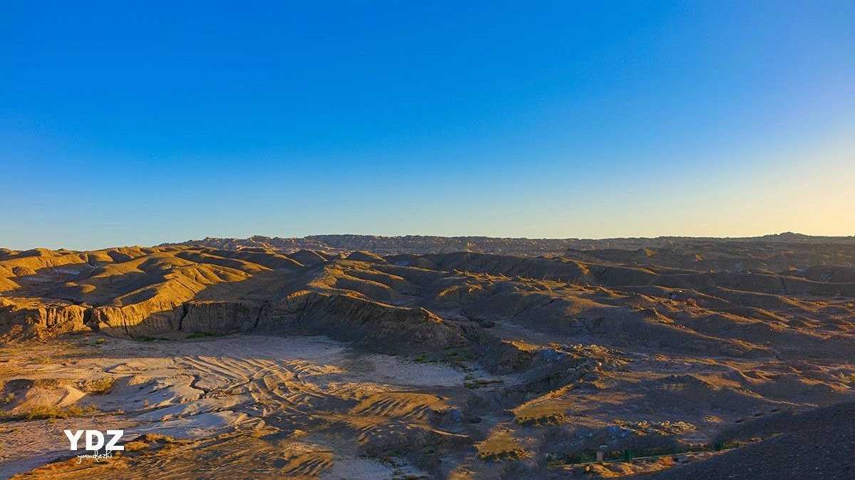 库尔勒的荒原 (3)