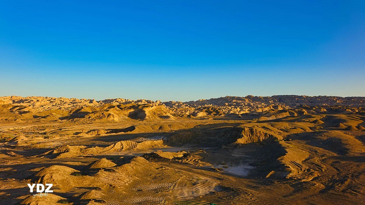 库尔勒的荒原 (3)