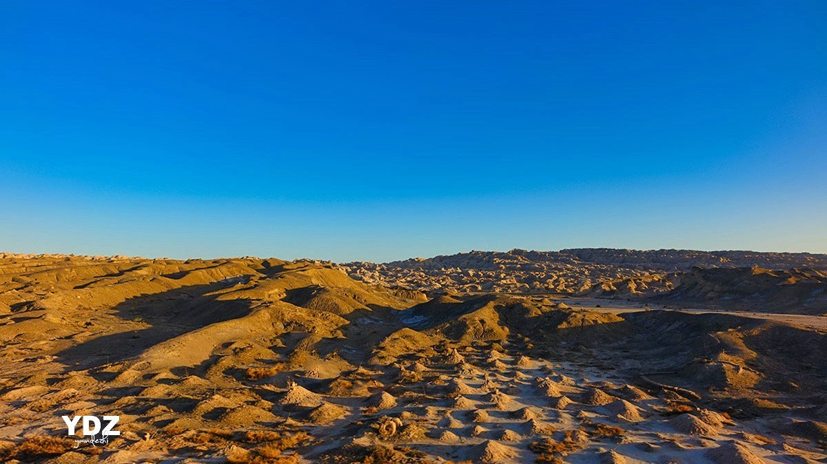 库尔勒的荒原 (3)