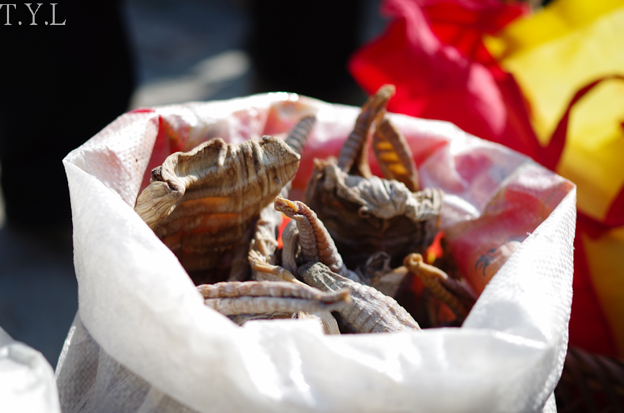 闽南乡镇墟日街拍